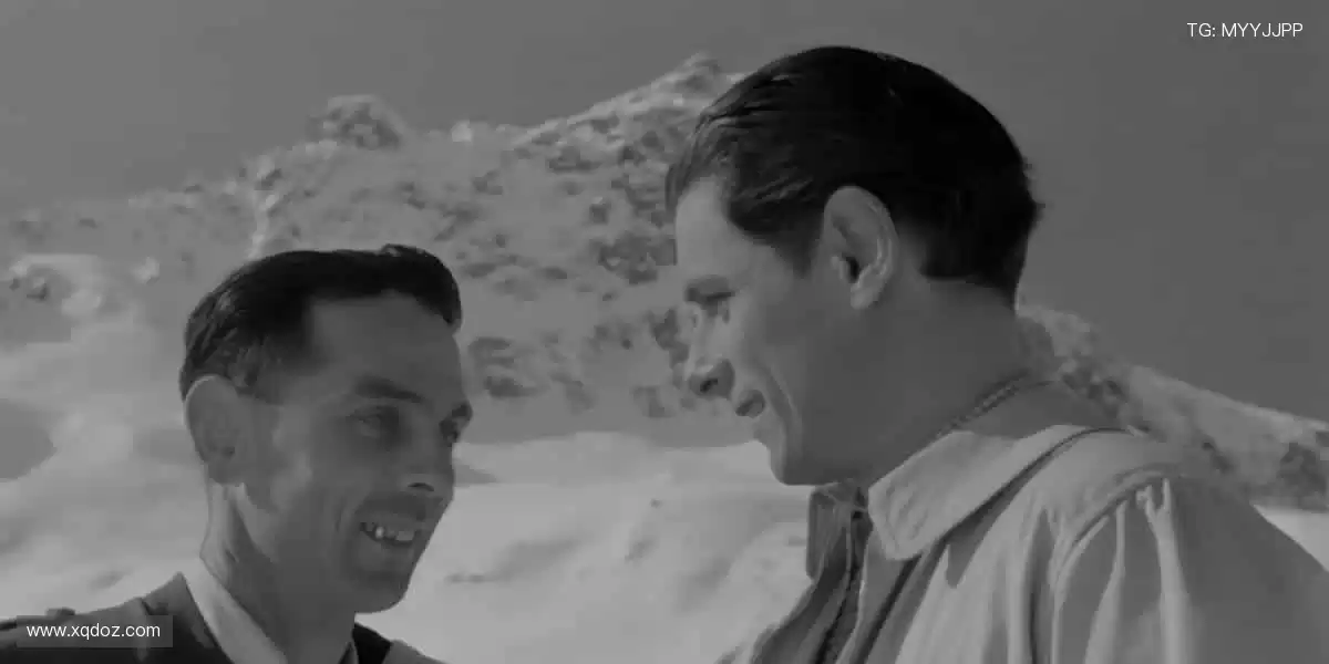 突破屏幕界限,直击赛场心跳!📺⚡️